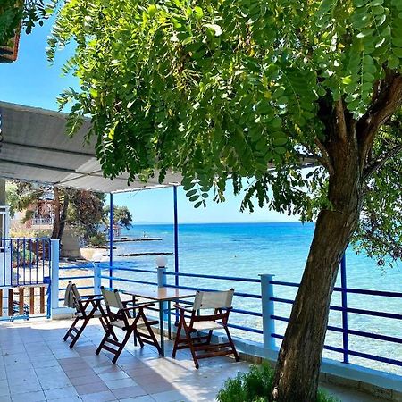 Manolis Studios Thassos Skala Kallirachis Exterior photo