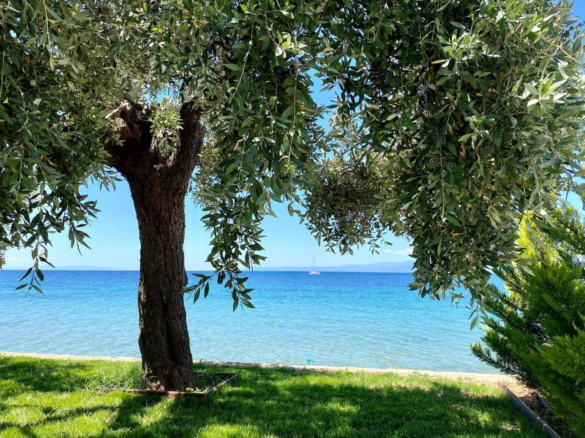 Manolis Studios Thassos Skala Kallirachis Exterior photo