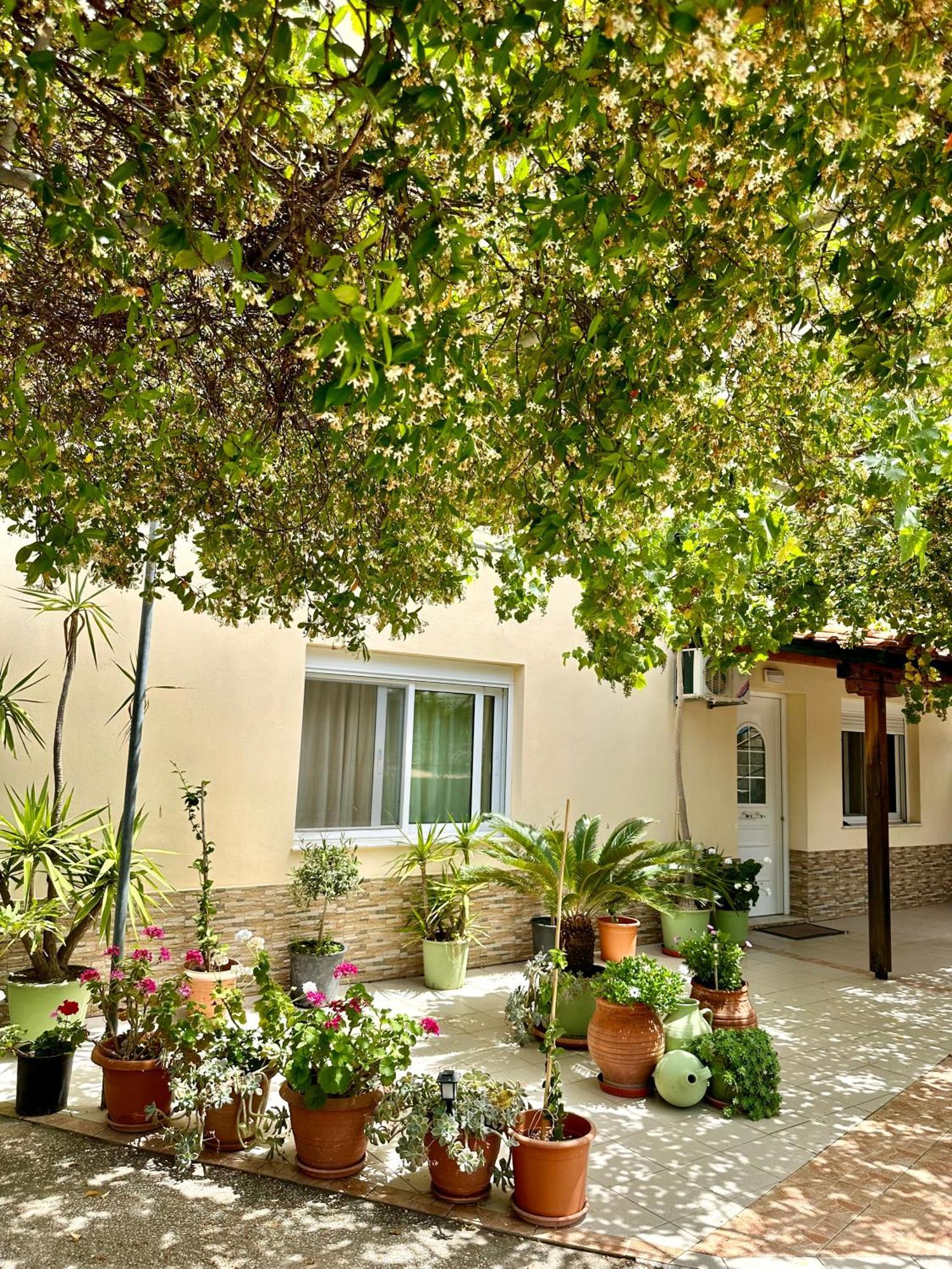 Manolis Studios Thassos Skala Kallirachis Exterior photo
