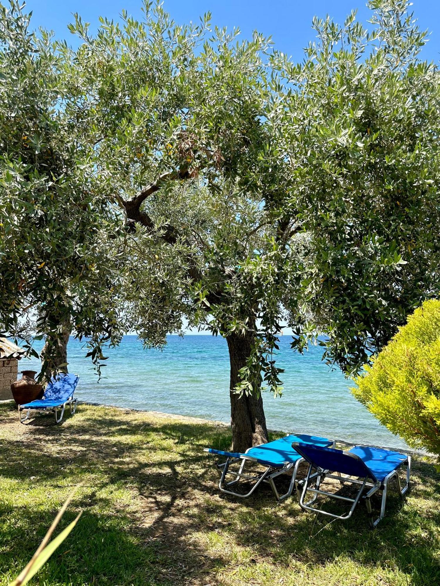 Manolis Studios Thassos Skala Kallirachis Exterior photo